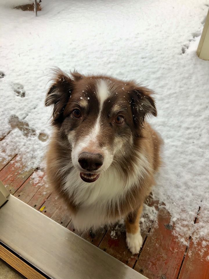 Snow, 10/14